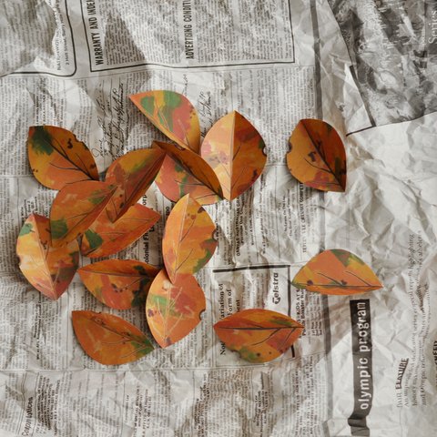 木の葉のカード