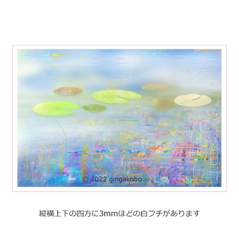 「瞬刻空漠」睡蓮　ほっこり癒しのイラストポストカード2枚組No.012