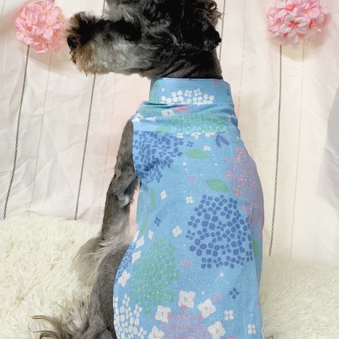 【犬服】紫陽花柄スタンドカラーてぬぐいシャツ☆(水色or桃色)