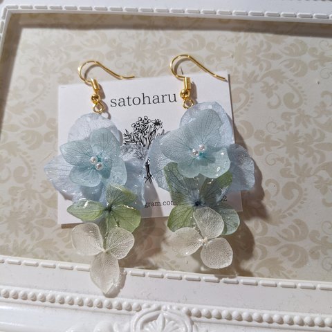 淡いカラー紫陽花揺れるピアス