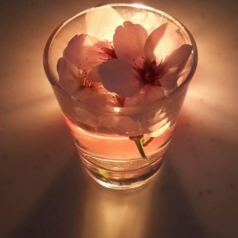 flower candle