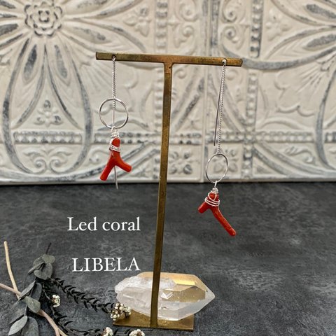 Red coral long pierce