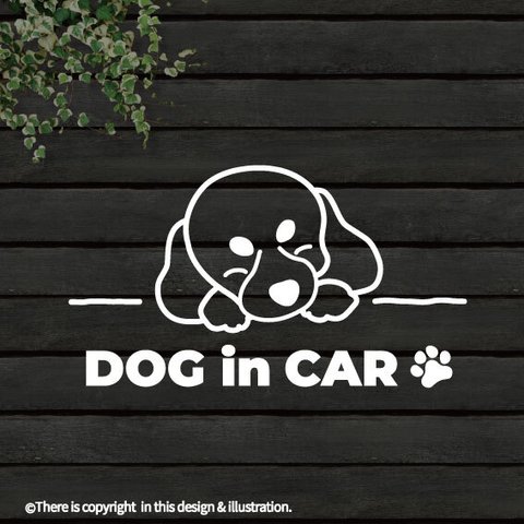 DOG IN CAR/ キャバリア/A【カッティングステッカー】手書きわんこ