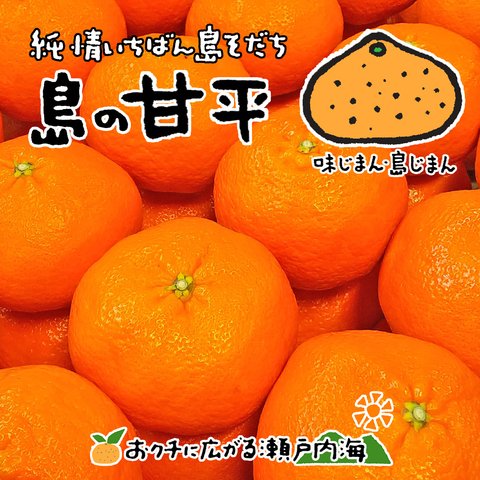 希望の島 甘平 5kg 愛媛 中島産 みかん