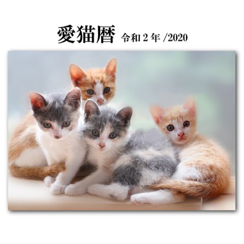 愛猫暦　令和2年/2020