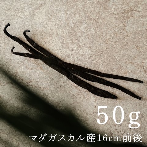 A級 ブルボン バニラビーンズ 50g マダガスカル産 クラシックバニラ パティスリー ベイキング バニラエクストラクト コーヒー用