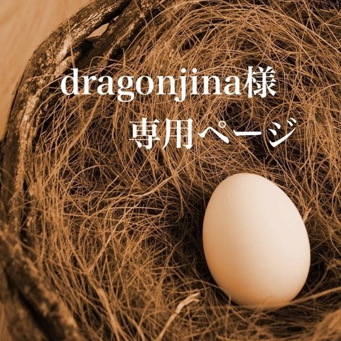 dragonjina様専用ページ