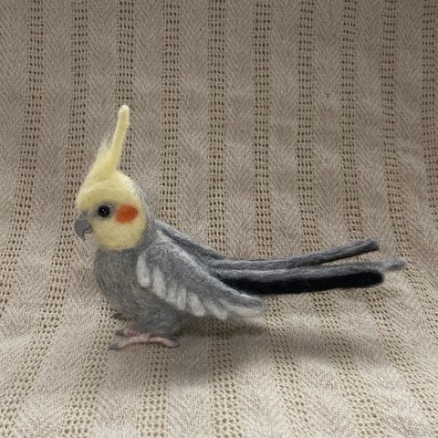 オカメインコ