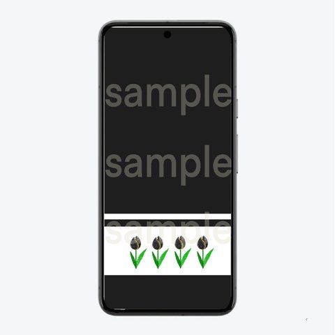 チューリップ　黒色　待ち受け画面壁紙　ロック画面壁紙