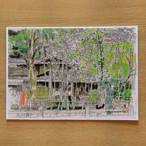 A4サイズ「 京都　哲学の道　新緑」　京の水彩画工房
