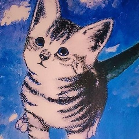 額入り　アメショーの子猫ミライ