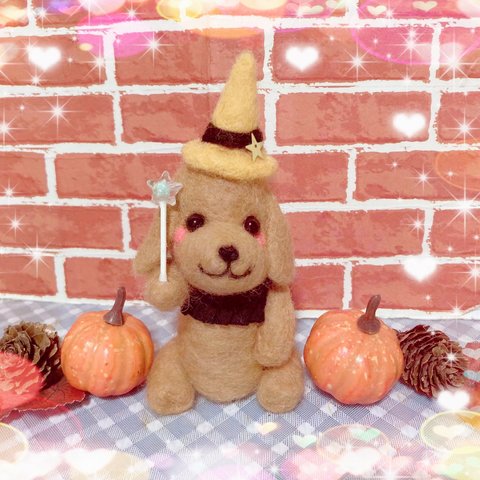 🎃✨わくわくハロウィンダックスちゃん🎃✨