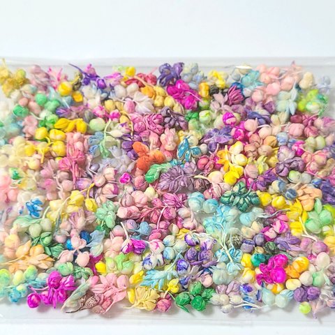 ミニ インディアンコーン　プリザーブドフラワー　花材　加工花材　レジン ボールペン