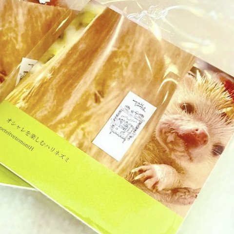 フォトブック｢オシャレを楽しむハリネズミ🦔｣