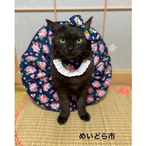 紫陽花柄女の子セット、猫ちゃんの首輪