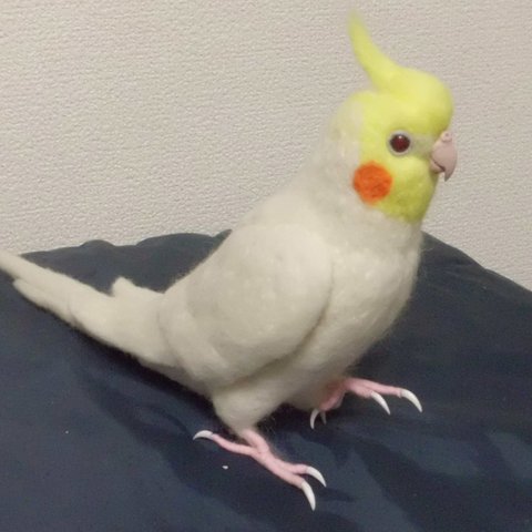 羊毛フィギュア ライフサイズ♪ オカメインコ ルチノー☆ life size  cockatiel  Stuffed wool 羊毛インコ 鳥のオブジェ 受注作成