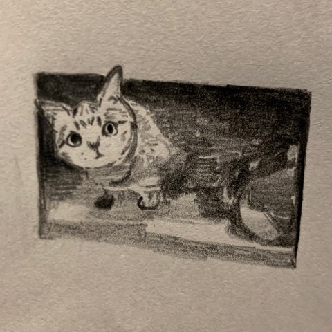 猫絵