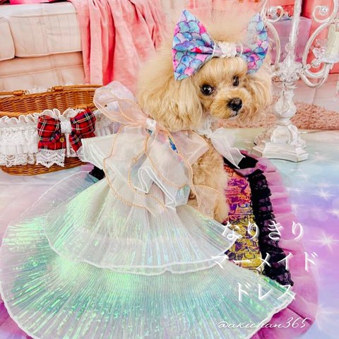 なりきりマーメイド（小型犬用）（ヘアリボン×ワンピース×ペチコート）ハロウィン、クリスマス、誕生日、バースデー