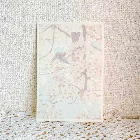 桜とヒヨドリのポストカード　p_00022