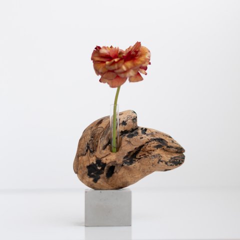 流木一輪挿し | driftwood flowervase | osakana no.2