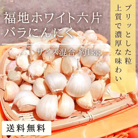 【送料無料】乾燥バラにんにく 青森県産 福地ホワイト六片 約1kg サイズ混合 2021年産