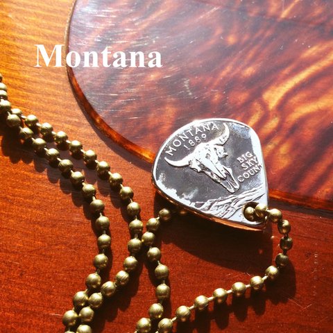コインで作ったギターピック モンタナ州