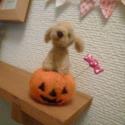 ハロウィン☆わんこ