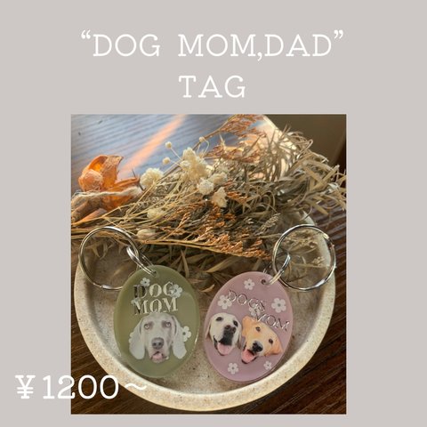  "DOG   MOM,DAD"TAG