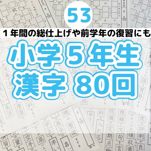 53小学５年生　漢字プリント　ドリル　参考書　教科書　言葉ナビ　国語　練習