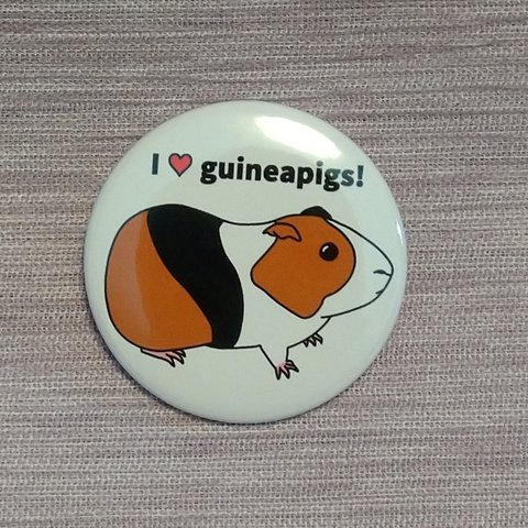 I ♡ guineapigs 缶バッジ(三毛モル)