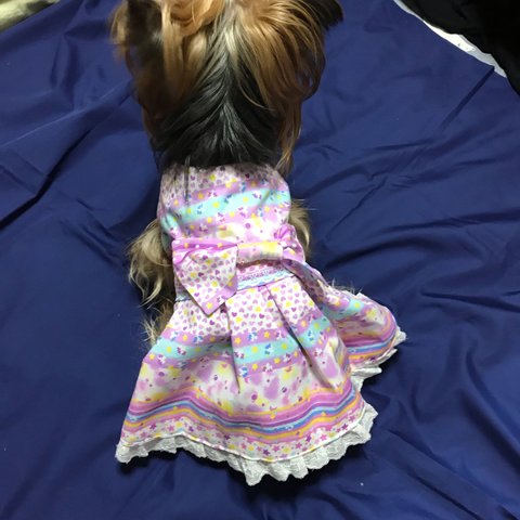 ⭐︎パープルのゆめかわリボンワンピース🎀着せやすい犬服オーダーメイドで❗️