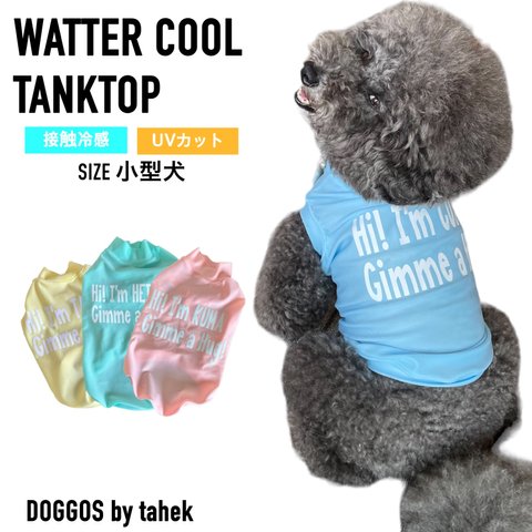 小型犬服　冷感 タンクトップ　cool ひんやり　ネームプリント　ウォータークール