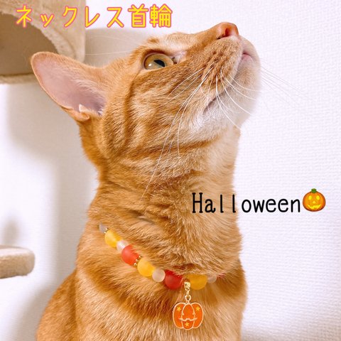 猫の首輪🐈ハロウィン🍭ビーズ♡ネックレス首輪✨オレンジ×イエローカラー🌟大きめカボチャのチャーム🎃