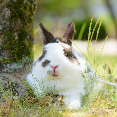 写真のある豊かな暮らし【ひとやすみ】