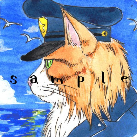 海と猫　メインクーン　原画