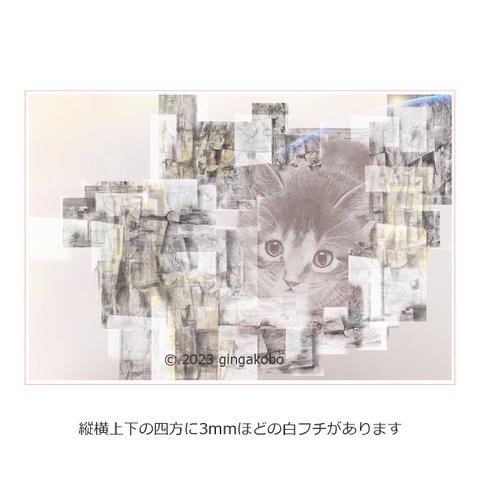 「雲の通い路にて」　猫　ほっこり癒しのイラストポストカード2枚組No.081