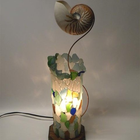 オーム貝のランプ