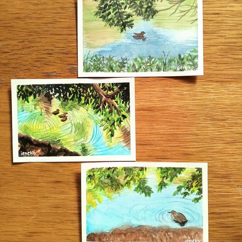 鴨のポストカード3枚セット（原画）