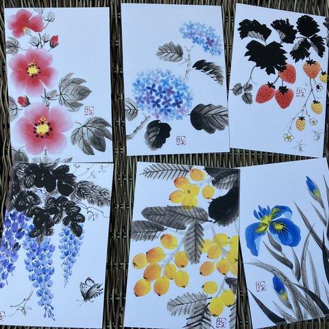 【送料無料】和のポストカード「夏の植物」　MIX 6枚セット