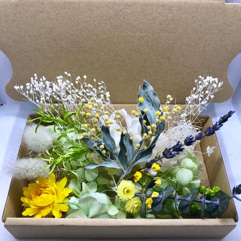 香り漂うミモザ・ユーカリ・ラベンダーの ハーバリウム 花材セット