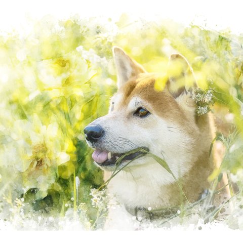 〈犬・猫の似顔絵〉写真をもとに作ります