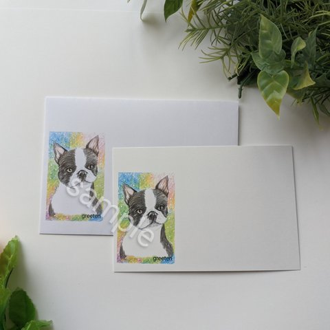 メッセージカードと封筒セット　ボストンテリア　犬イラスト　ボストンテリアグッズ　レターセット　