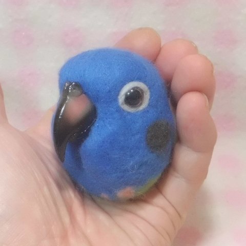 存在感バツグン♪ ☆ アケボノインコ☆　羊毛インコ(中型インコ）マグネット/ブローチ どちらか選択    受注作成　工房小鳥屋さん