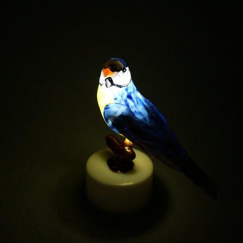 Healing lamp 小鳥のピック