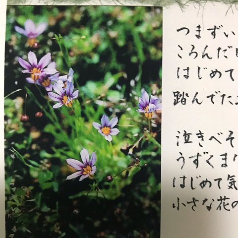 「楽園の景色作りたい」編  花と詩の葉書シリーズ