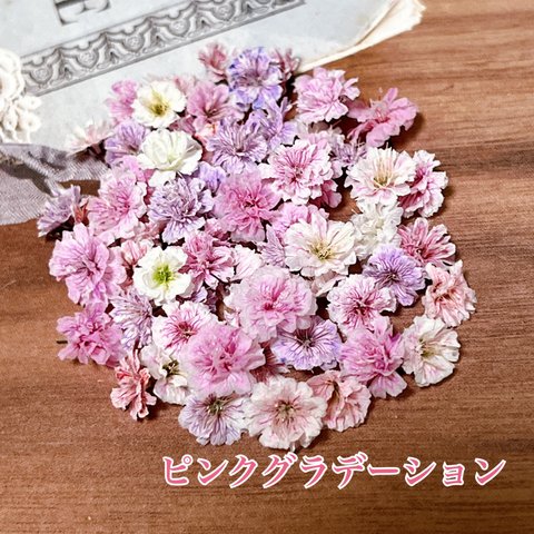 再販13回 ドライかすみ草 ニュアンスピンク🌸MIX❣️40粒～／レジンアクセサリー ヘアゴム ピアス イヤリング ヘアピン バレッタ作り キャンドルなどに