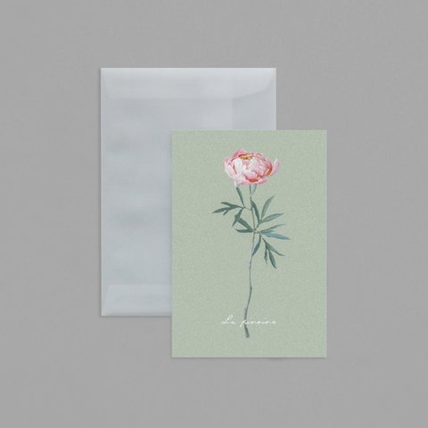 La pivoine　CARD SET / ポストカード・封筒セット