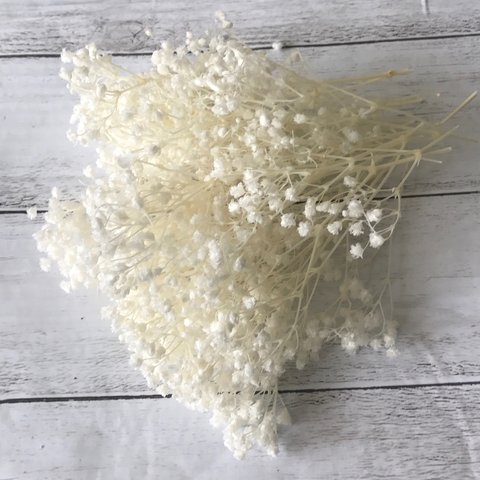 ミリオンスターカスミ草ホワイト小分け❣️ハーバリウム花材プリザーブドフラワー
