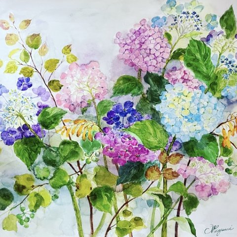 賑やかな紫陽花　水彩画　原画