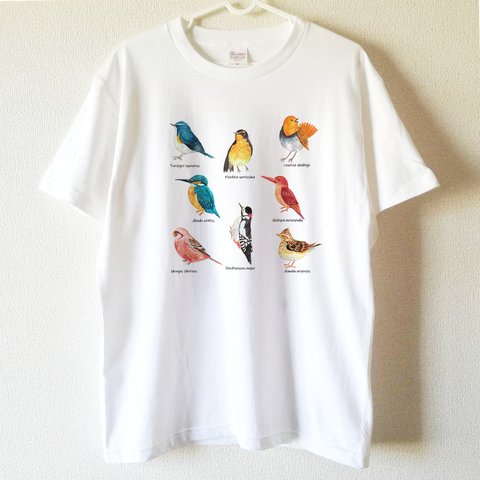 【送料無料】 森の野鳥図鑑白Tシャツ～子供から大人までみんなで使える13サイズ～